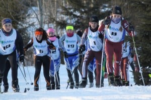 Cross Country Skiers Competitng